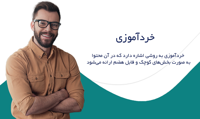 ریزآموزی یا خردآموزی